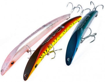 HALCYON CHIQUITITA Baby