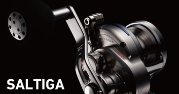 DAIWA SALTIGA 10HL