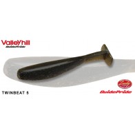 Valleyhill GuidePride TWINBEAT