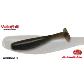 Valleyhill GuidePride TWINBEAT