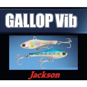 Jackson GALLOP Vib