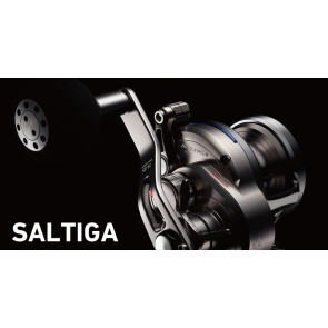 DAIWA SALTIGA 10HL