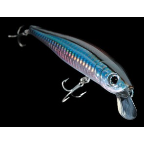 DAIWA SEA BASS HUNTER 